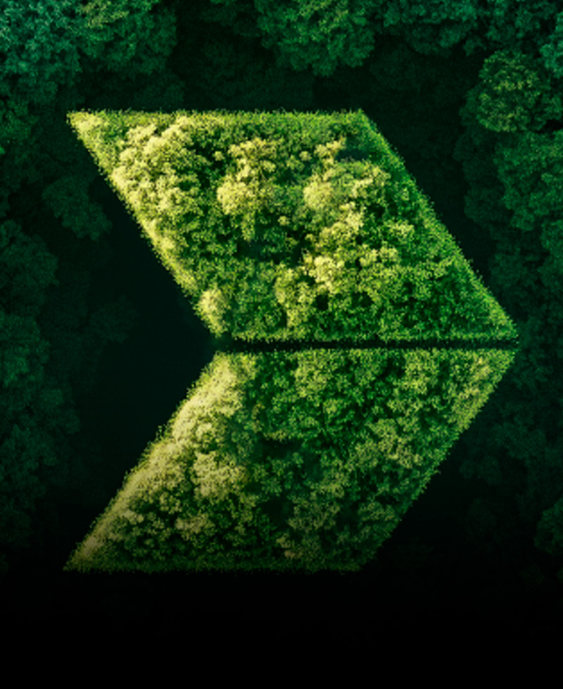 ESG